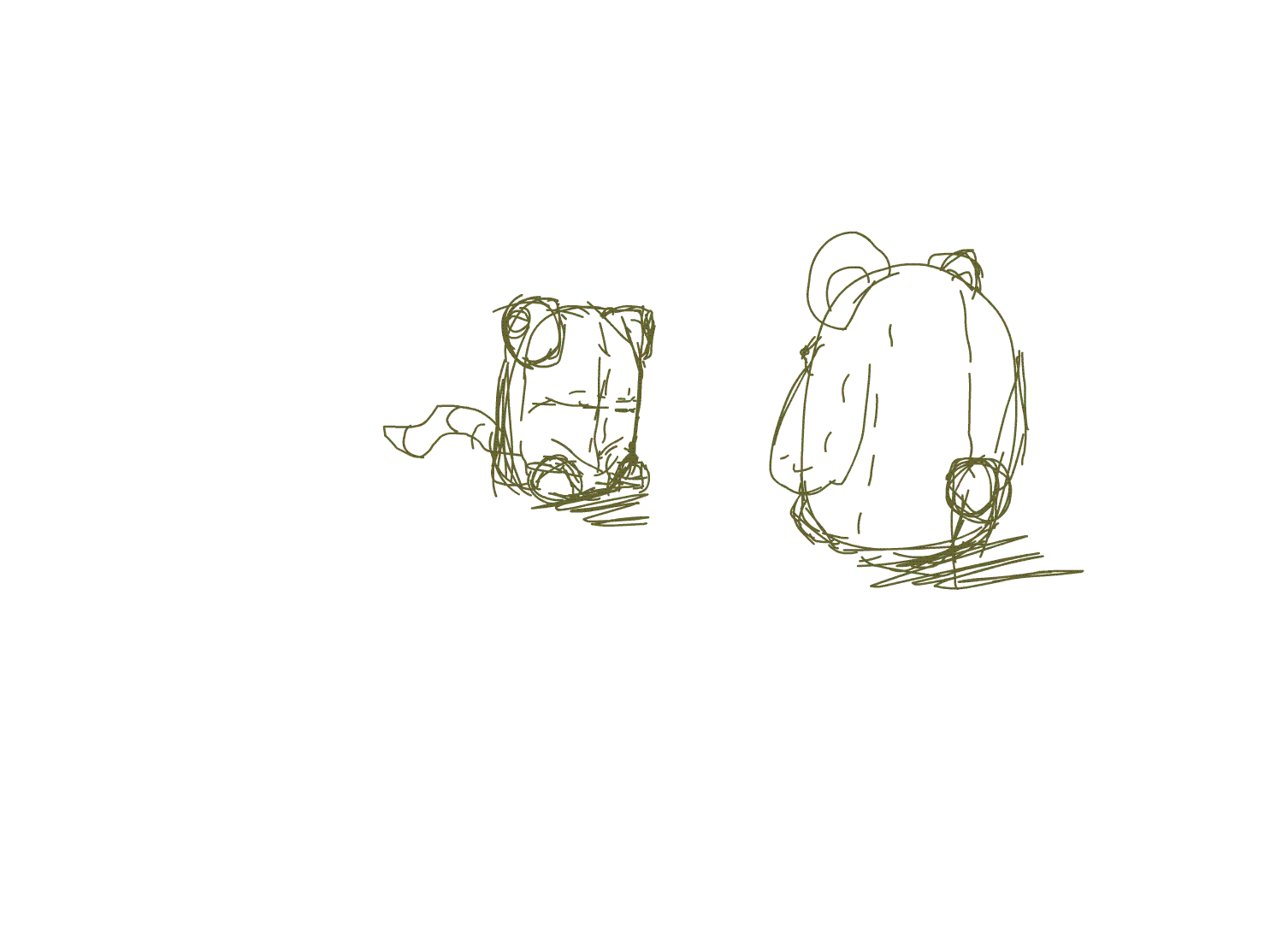 animations