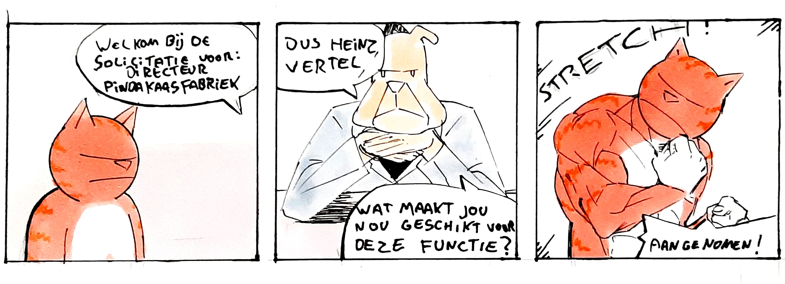 portraits